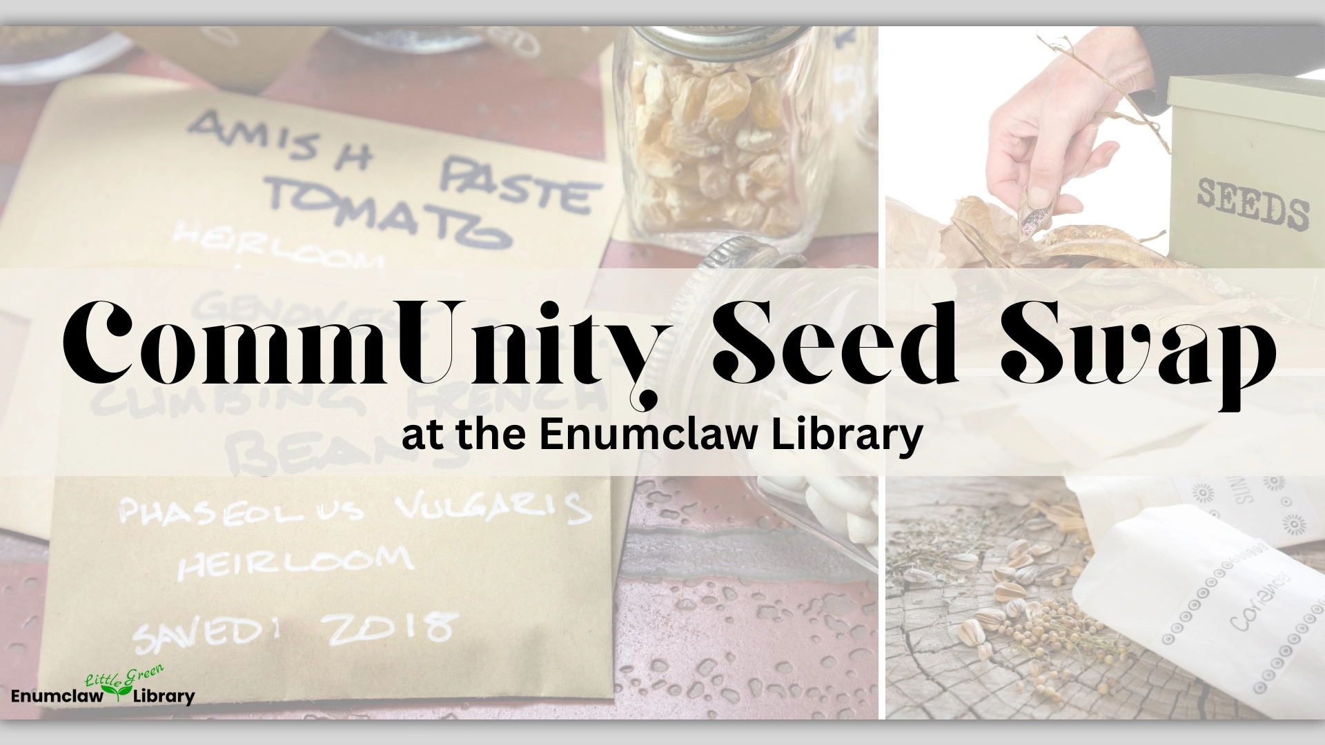 Community Seed Swap