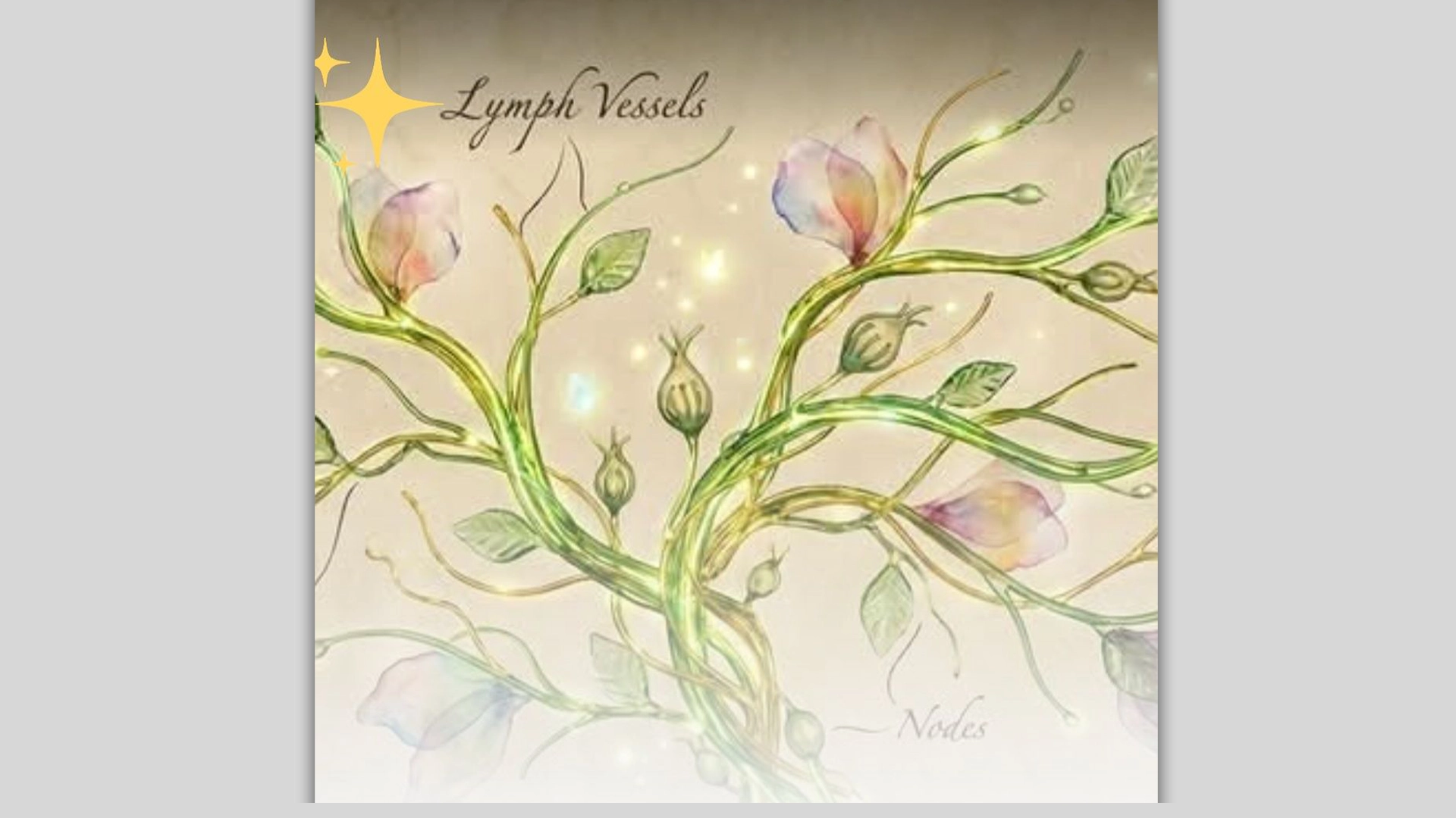 Lymphatic Drainage Class