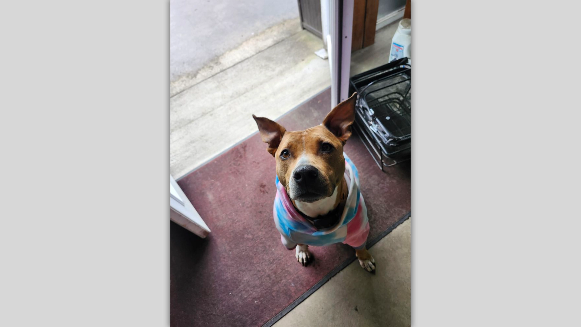 It’s National Hanging Out Day! Hang at Our Pop Up!