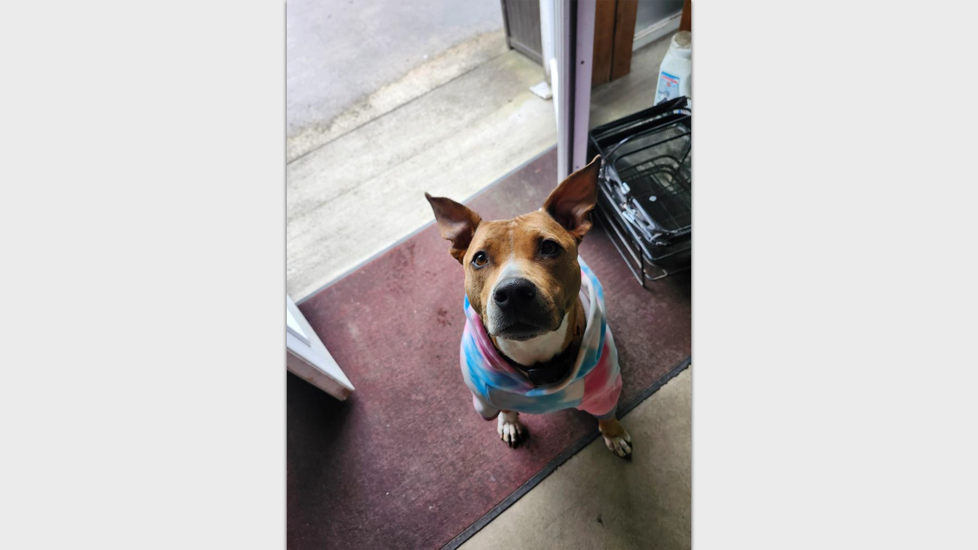 Rockridge Pop Up – International Sun Day & World Laughter Day